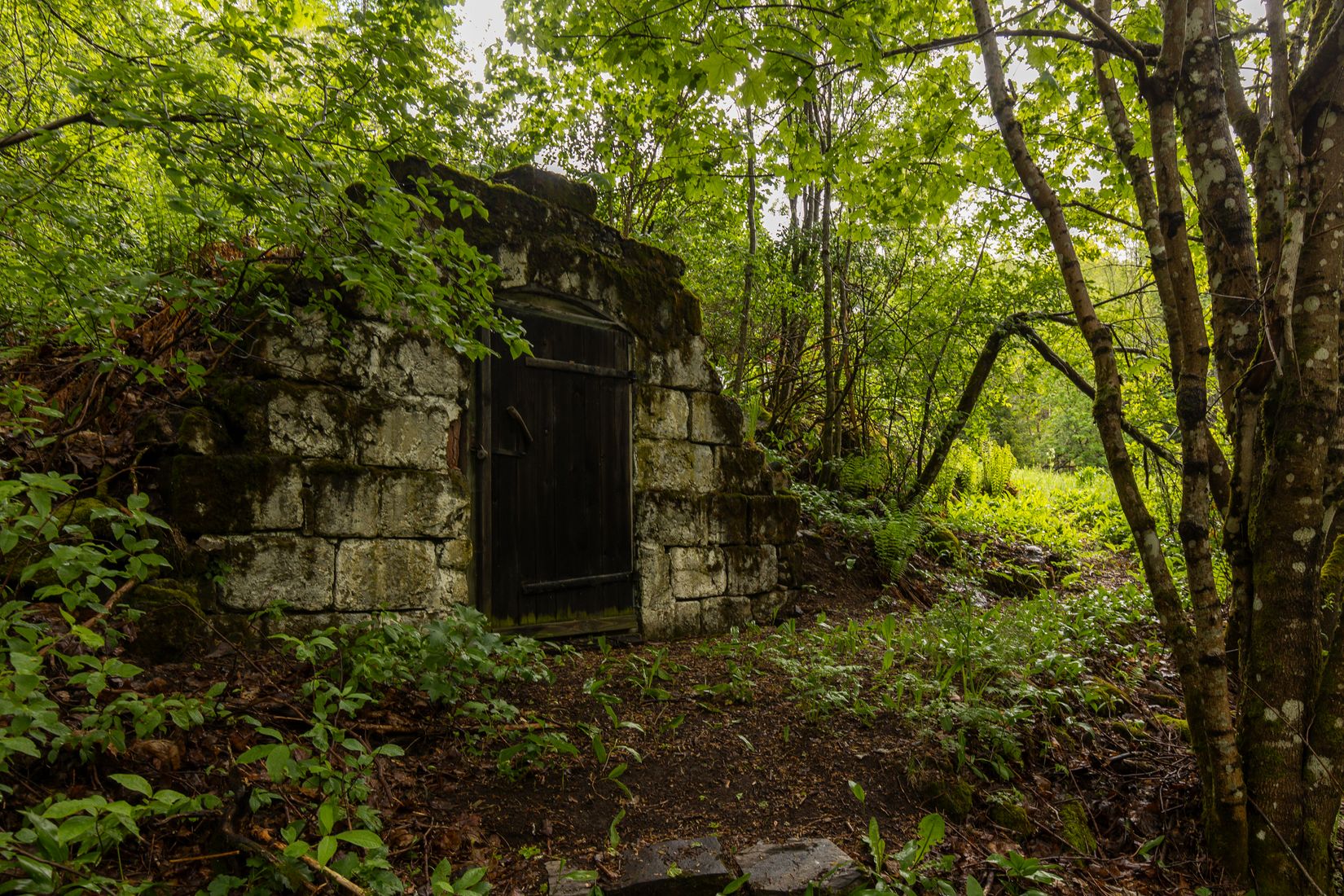Gård/Skog, Långban Björnviken, Filipstad