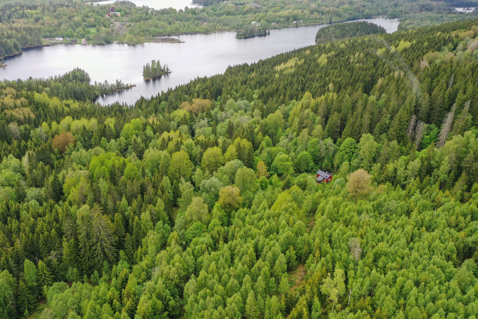 Gård/Skog, Långban Björnviken, Filipstad
