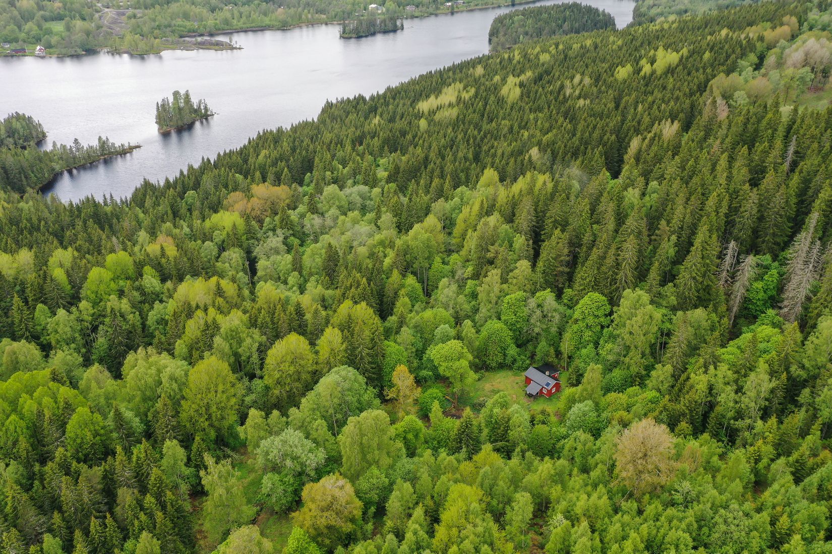 Gård/Skog, Långban Björnviken, Filipstad