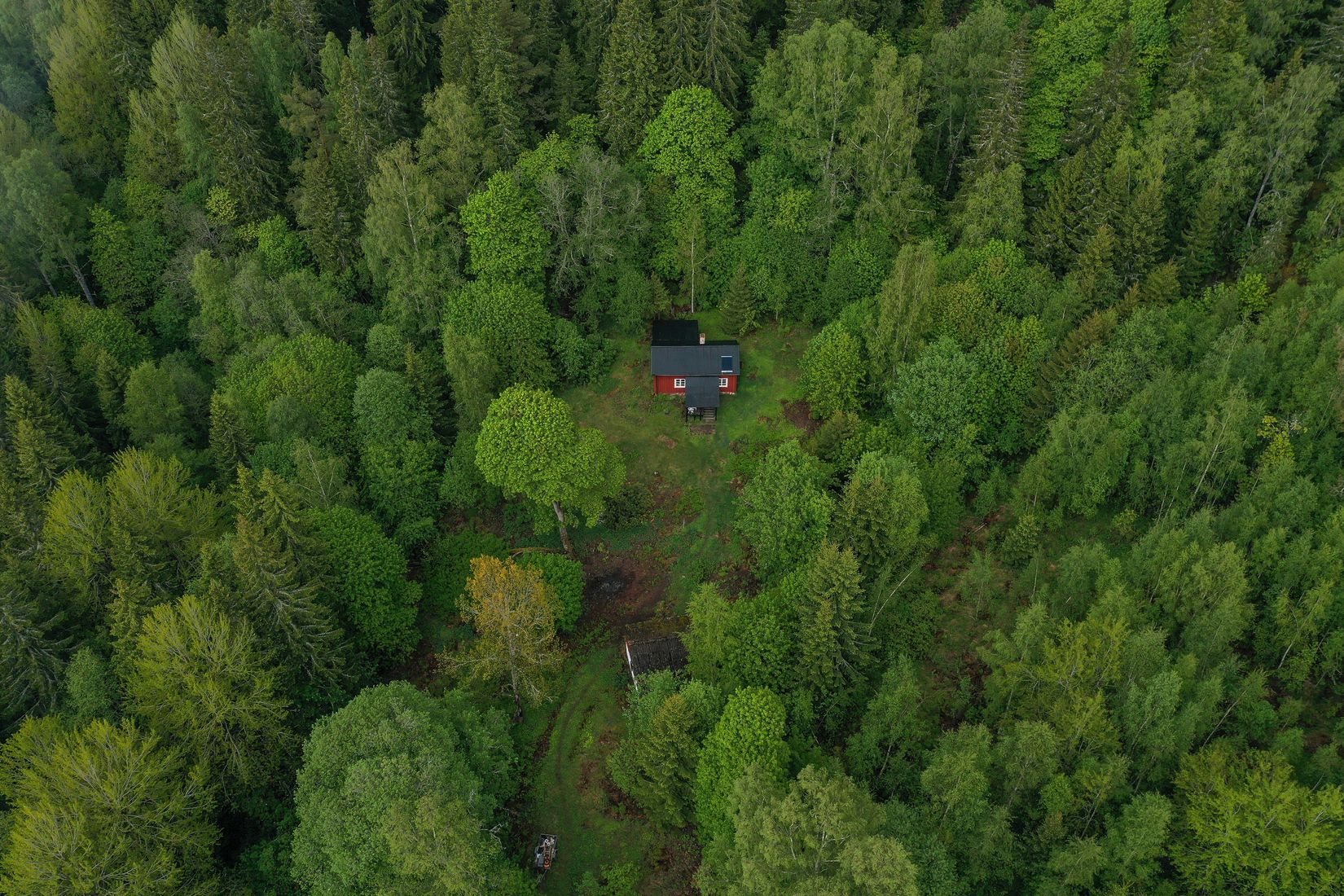 Gård/Skog, Långban Björnviken, Filipstad