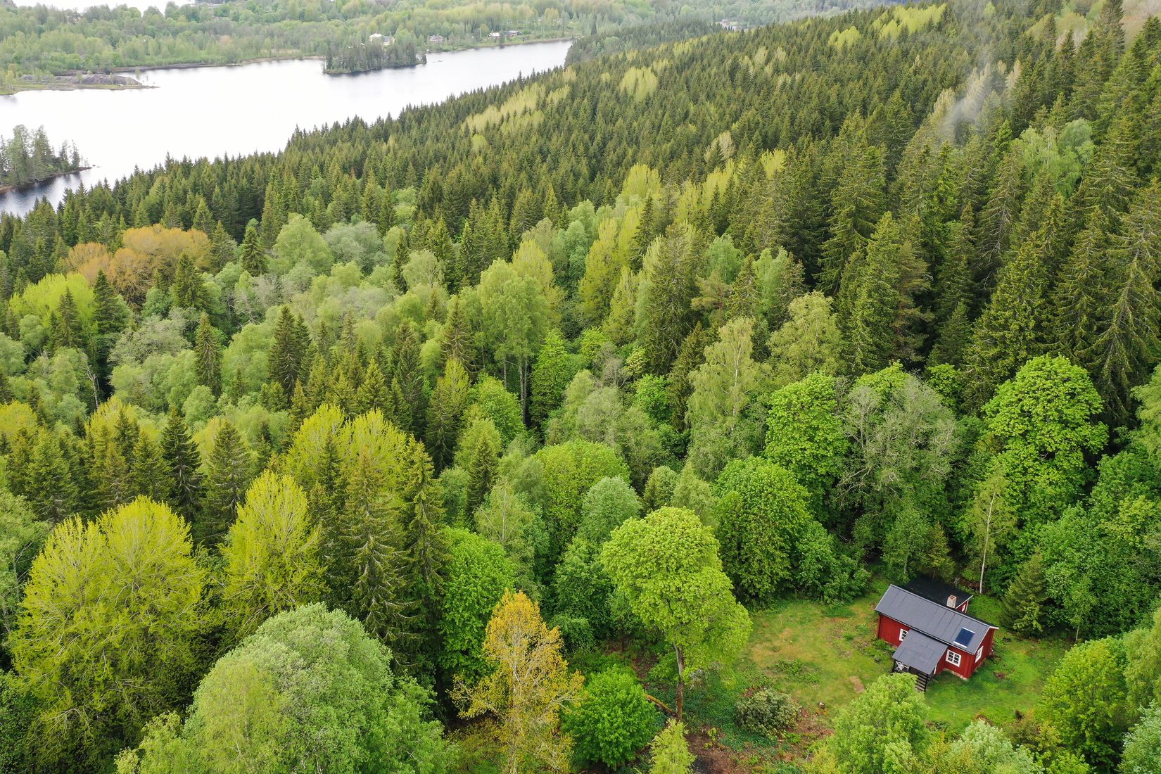 Gård/Skog, Långban Björnviken, Filipstad