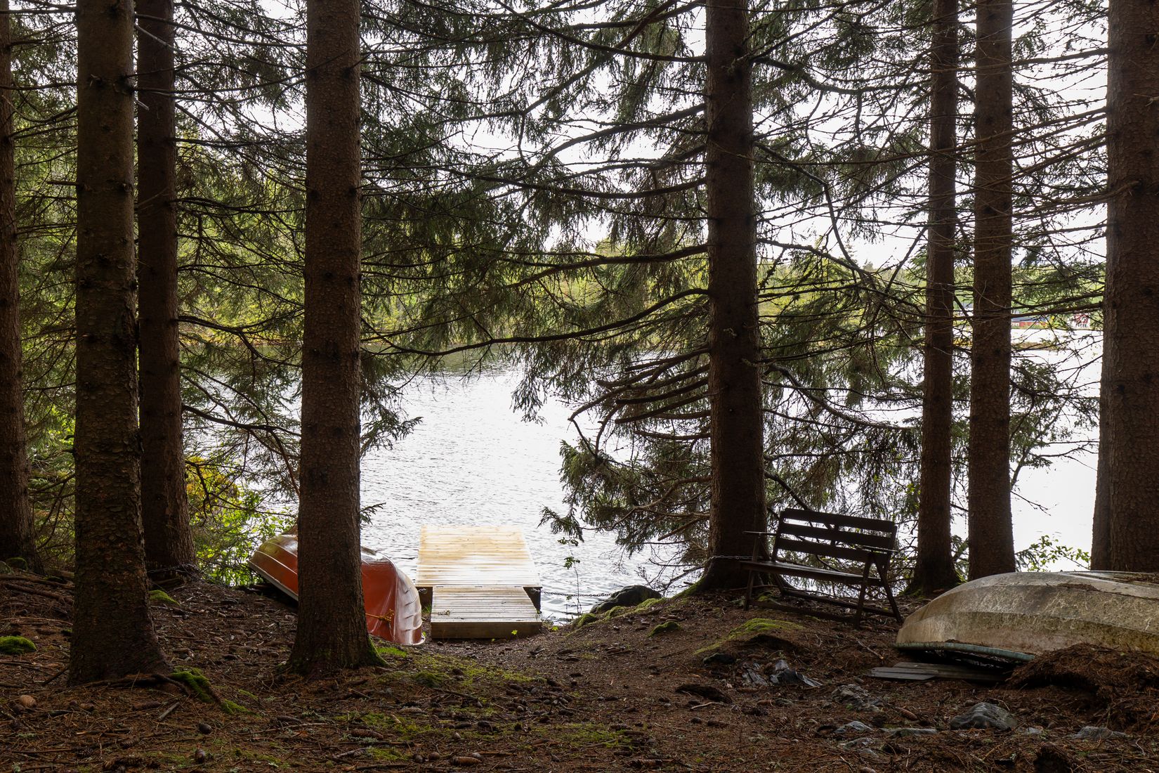 Gård/Skog, Långban Björnviken, Filipstad