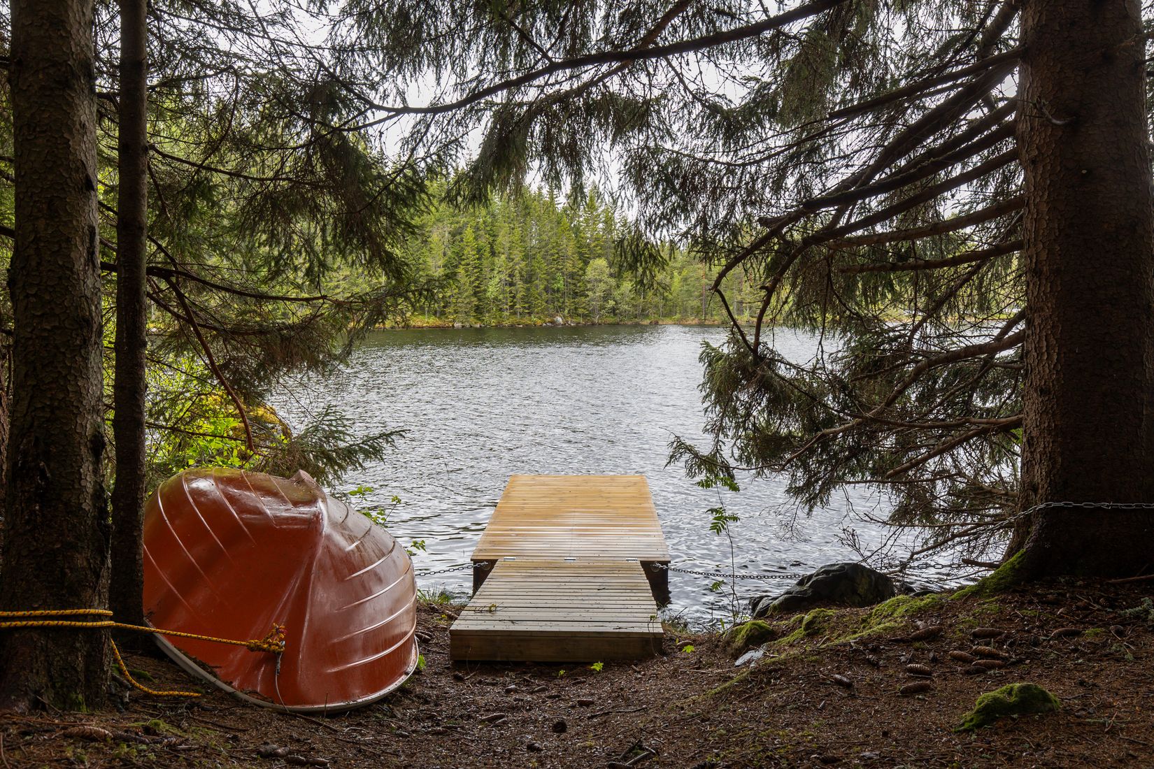 Gård/Skog, Långban Björnviken, Filipstad