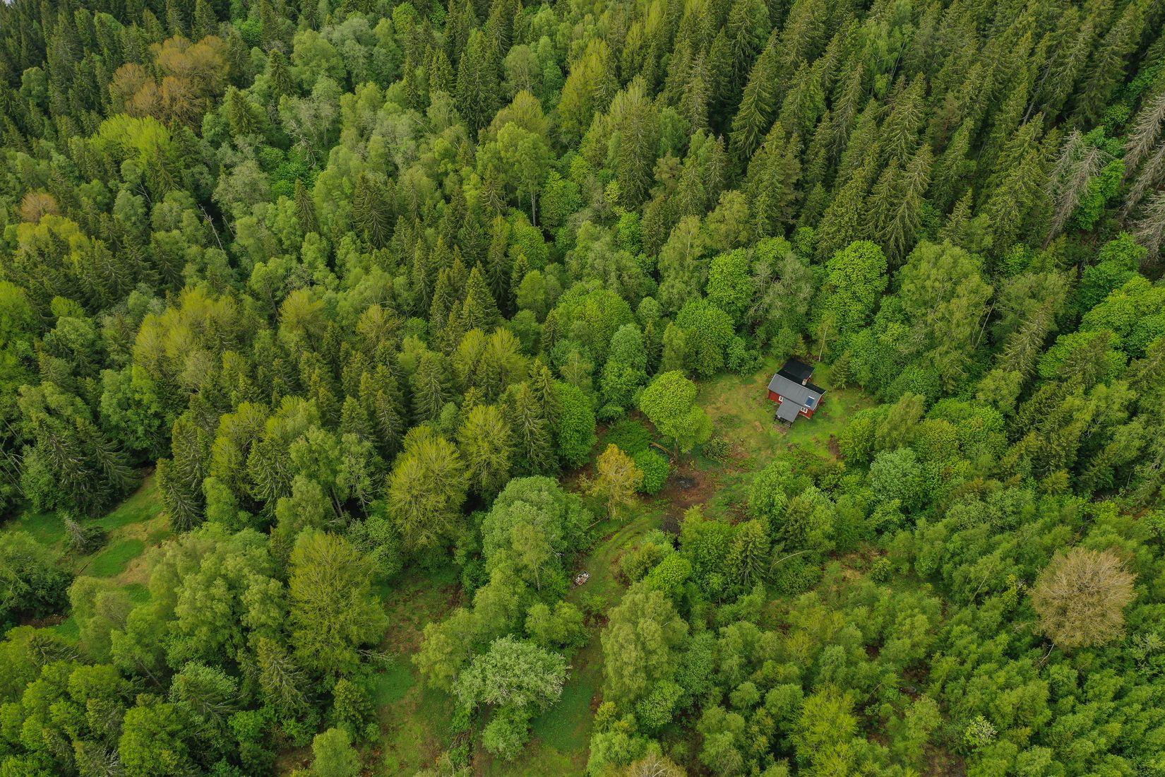 Gård/Skog, Långban Björnviken, Filipstad