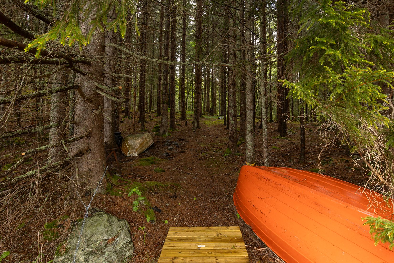 Gård/Skog, Långban Björnviken, Filipstad