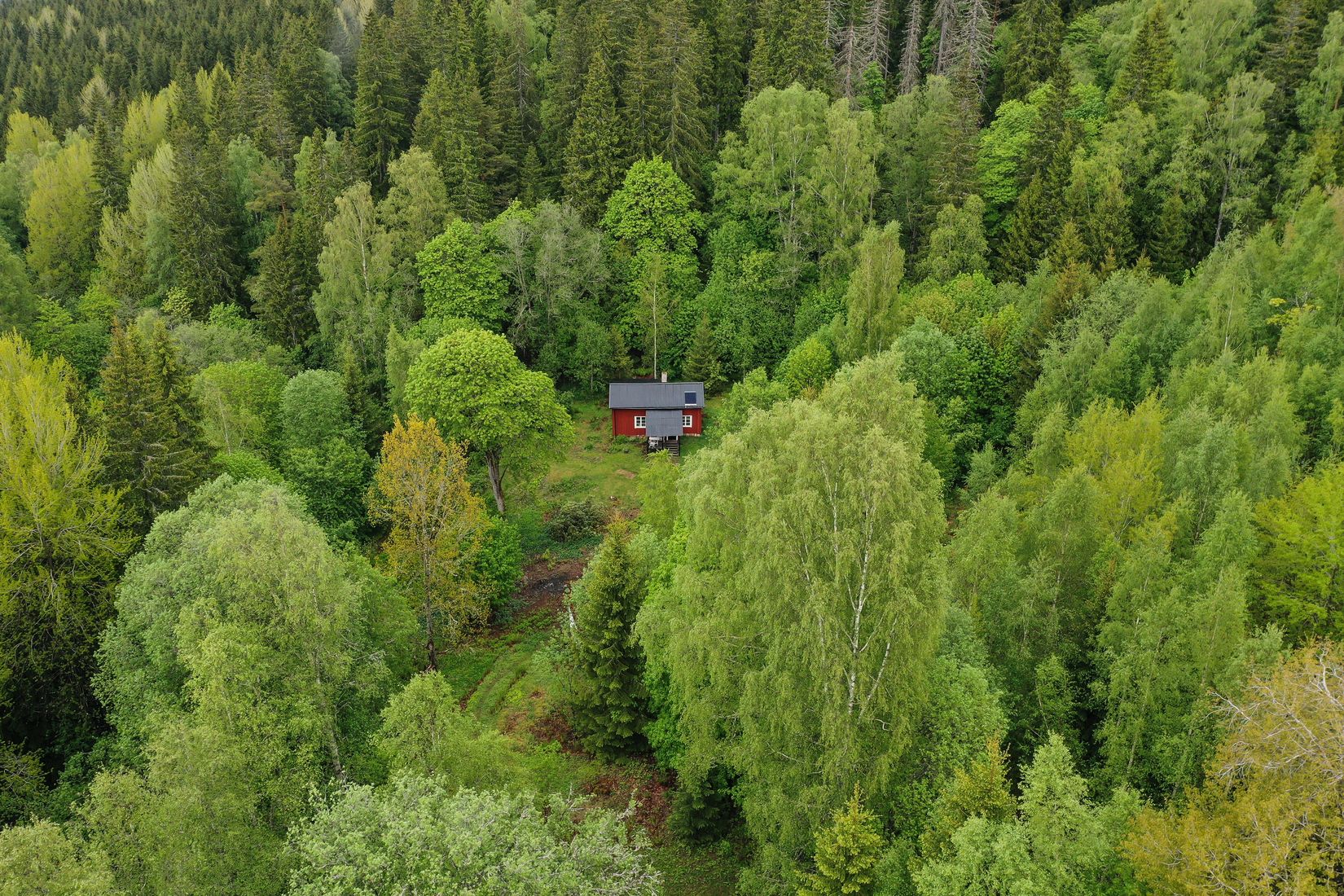 Gård/Skog, Långban Björnviken, Filipstad