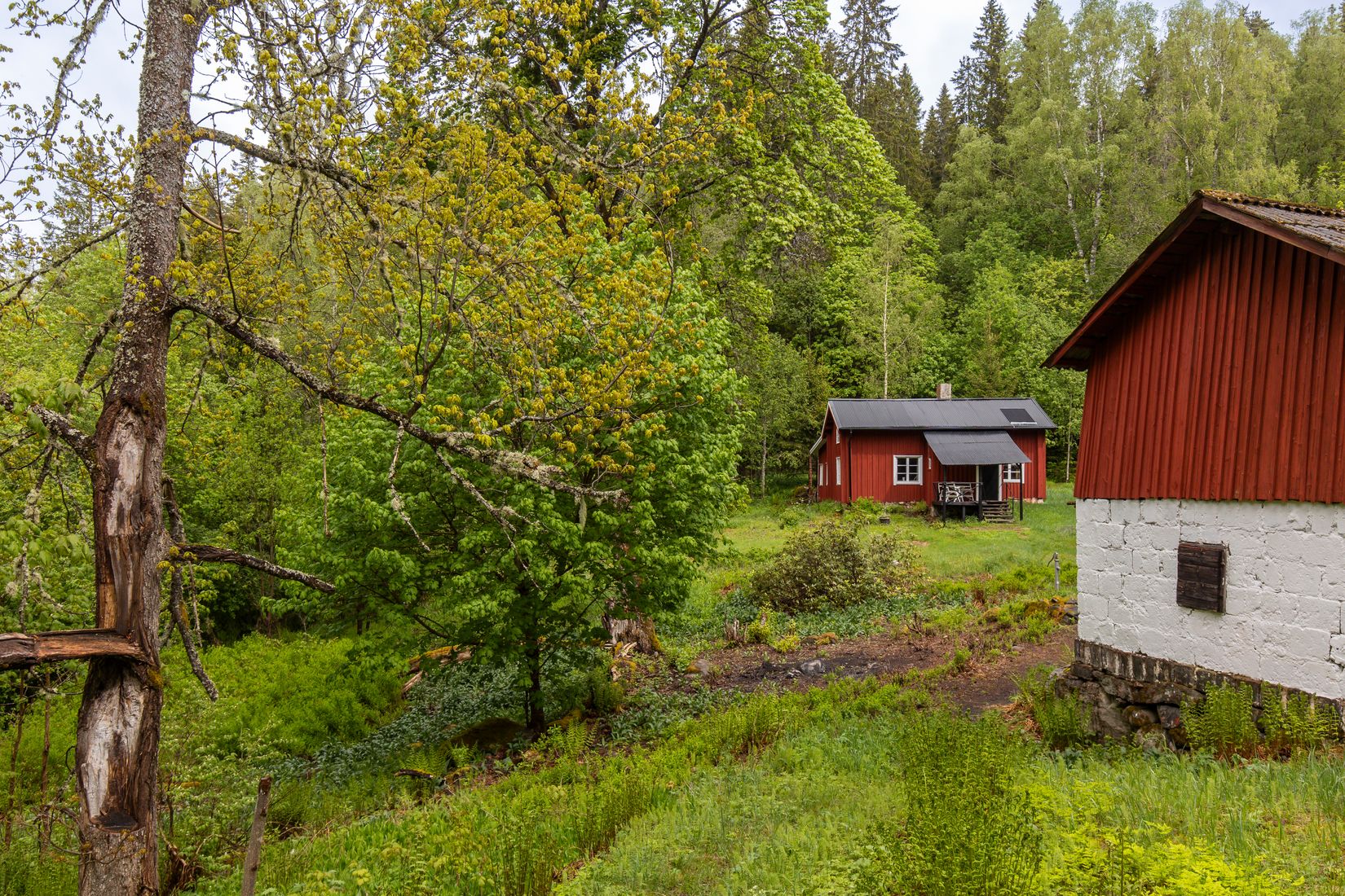 Gård/Skog, Långban Björnviken, Filipstad