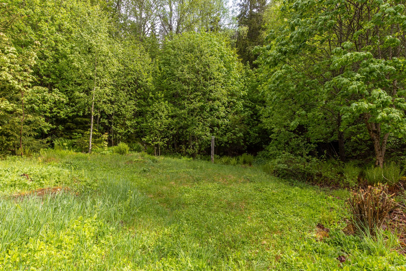 Gård/Skog, Långban Björnviken, Filipstad