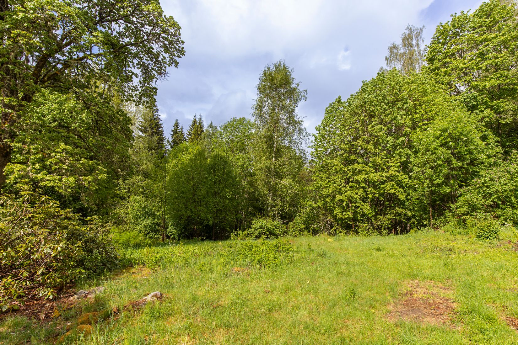 Gård/Skog, Långban Björnviken, Filipstad