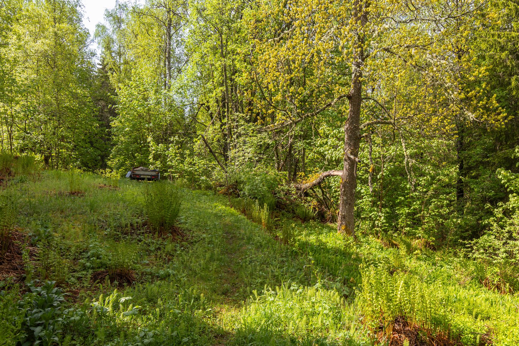 Gård/Skog, Långban Björnviken, Filipstad