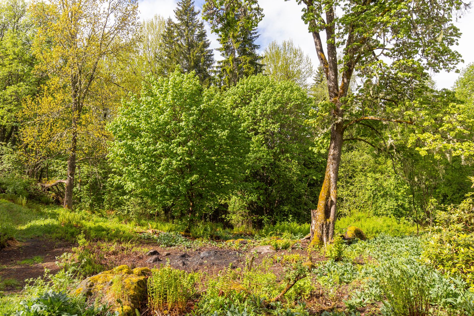 Gård/Skog, Långban Björnviken, Filipstad