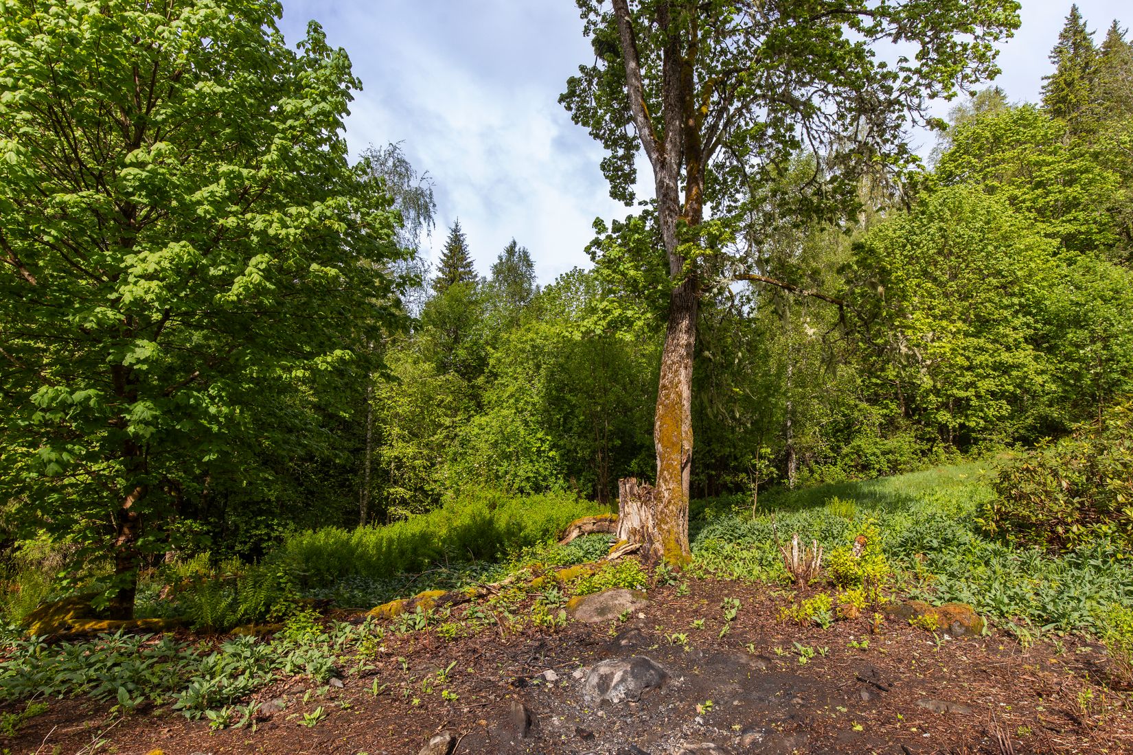 Gård/Skog, Långban Björnviken, Filipstad