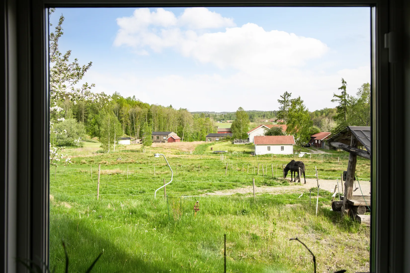 Gård/Skog, Häljeröd 170, Häljeröd - Romelanda, Kungälv