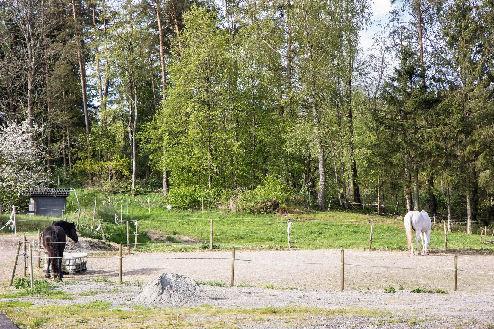 Gård/Skog, Häljeröd 170, Häljeröd - Romelanda, Kungälv