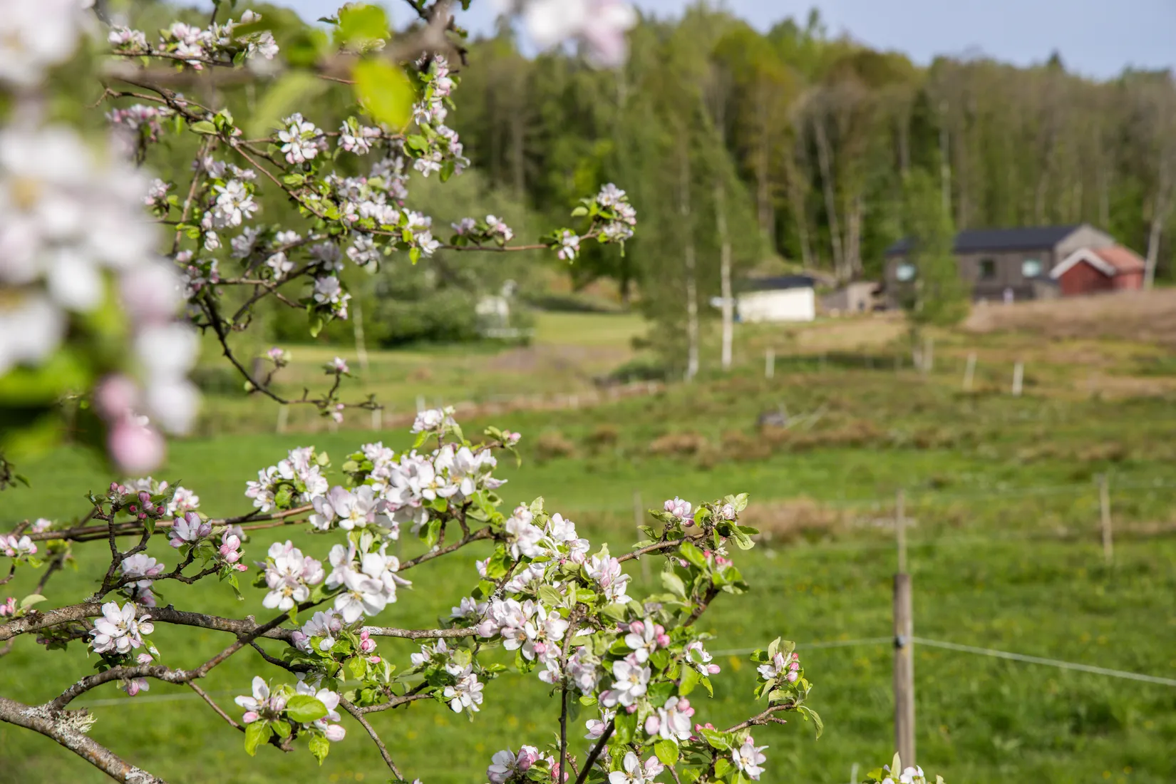Gård/Skog, Häljeröd 170, Häljeröd - Romelanda, Kungälv