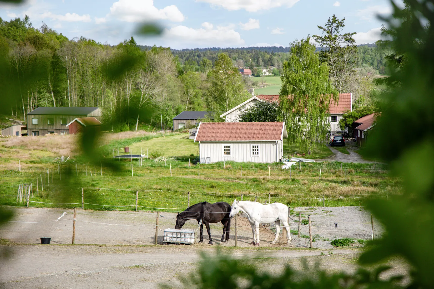 Gård/Skog, Häljeröd 170, Häljeröd - Romelanda, Kungälv