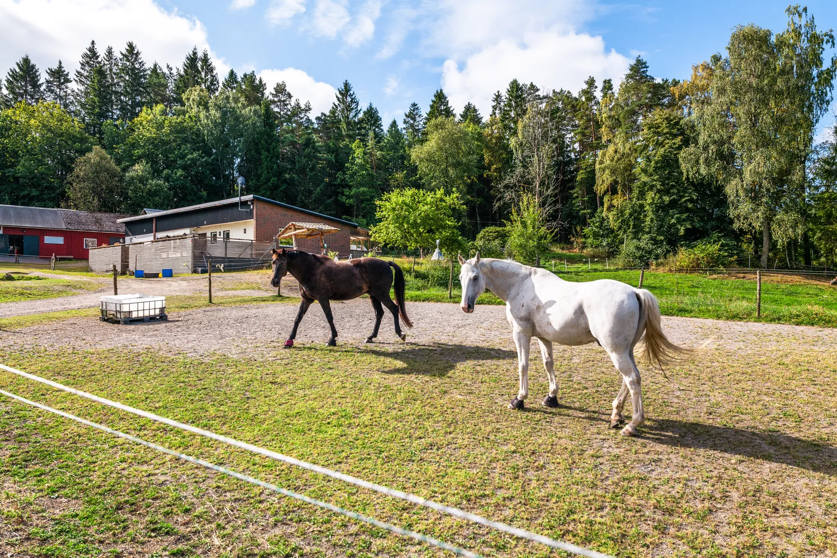 Gård/Skog, Häljeröd 170, Häljeröd - Romelanda, Kungälv
