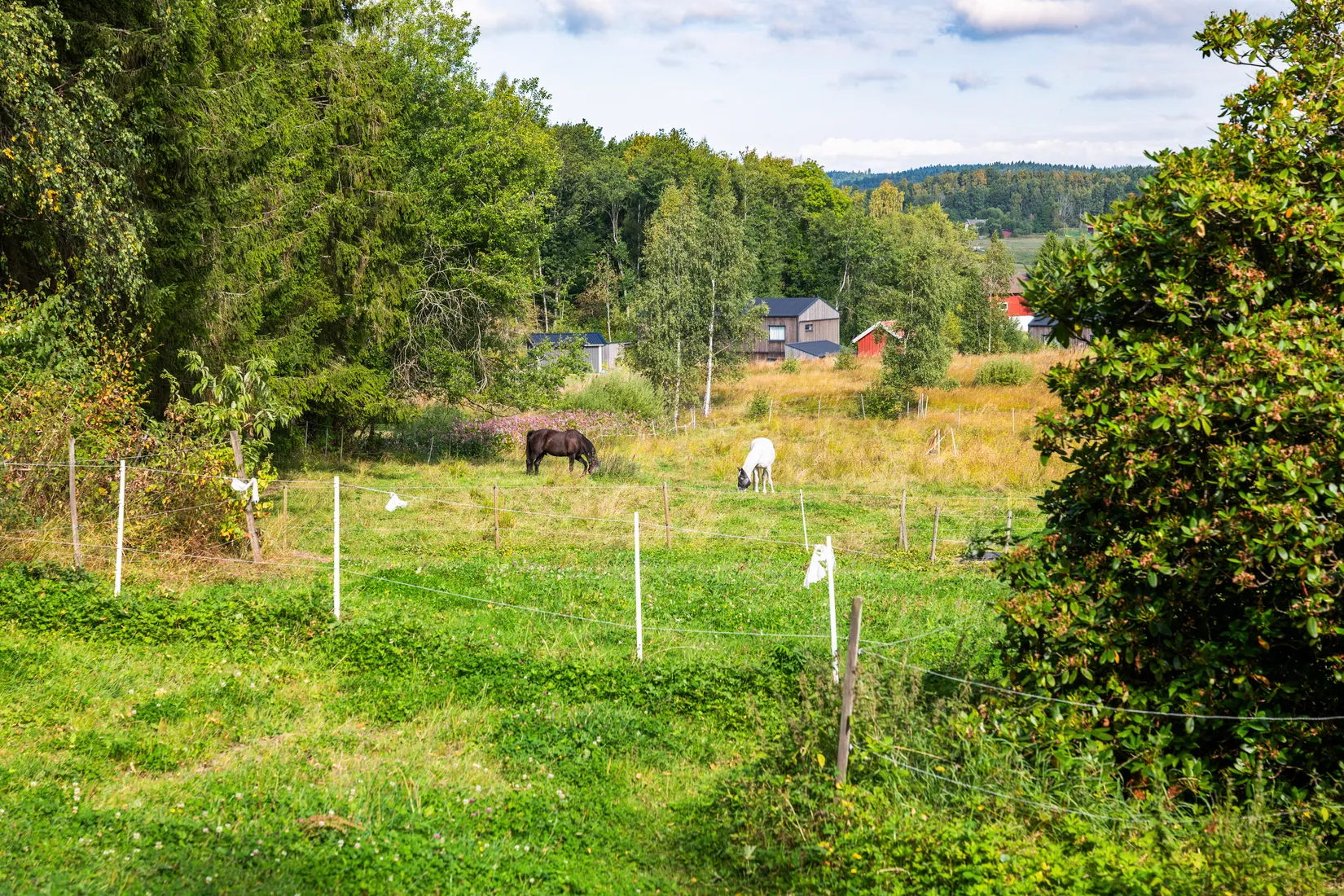 Gård/Skog, Häljeröd 170, Häljeröd - Romelanda, Kungälv