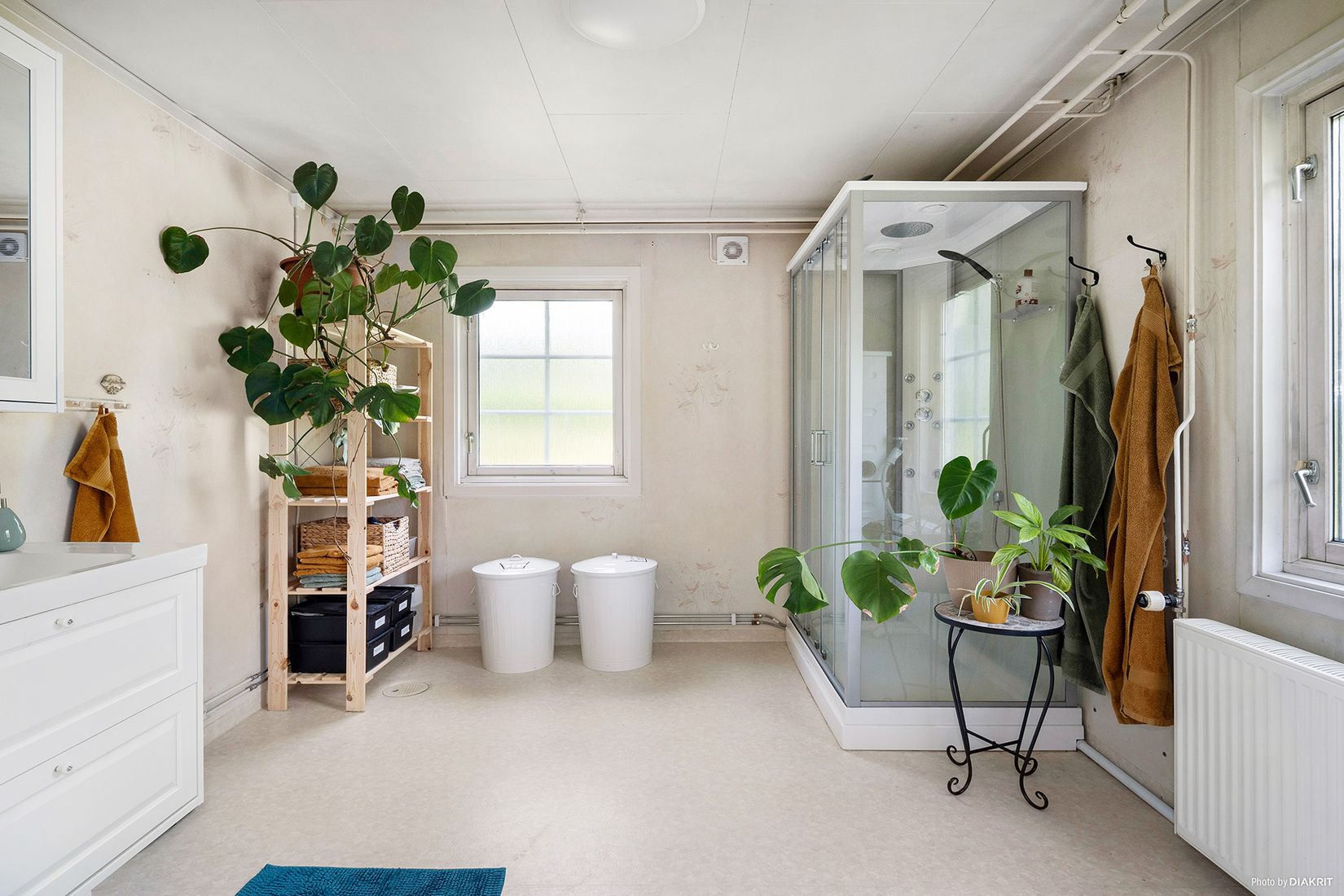 Gård/Skog, Höksjön Neva, Lesjöfors, Filipstad