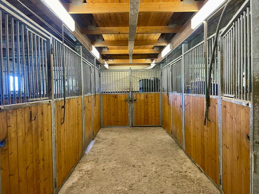 Gård/Skog, Höksjön Neva, Lesjöfors, Filipstad