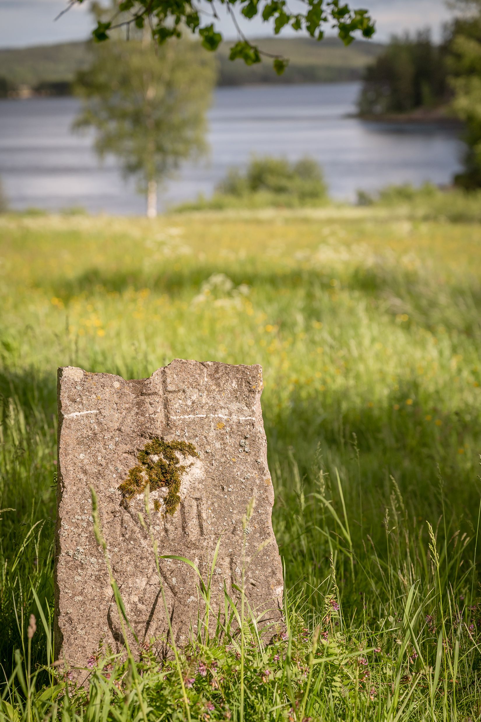 Gård/Skog, Mosteruds gård 1, Glava, Arvika