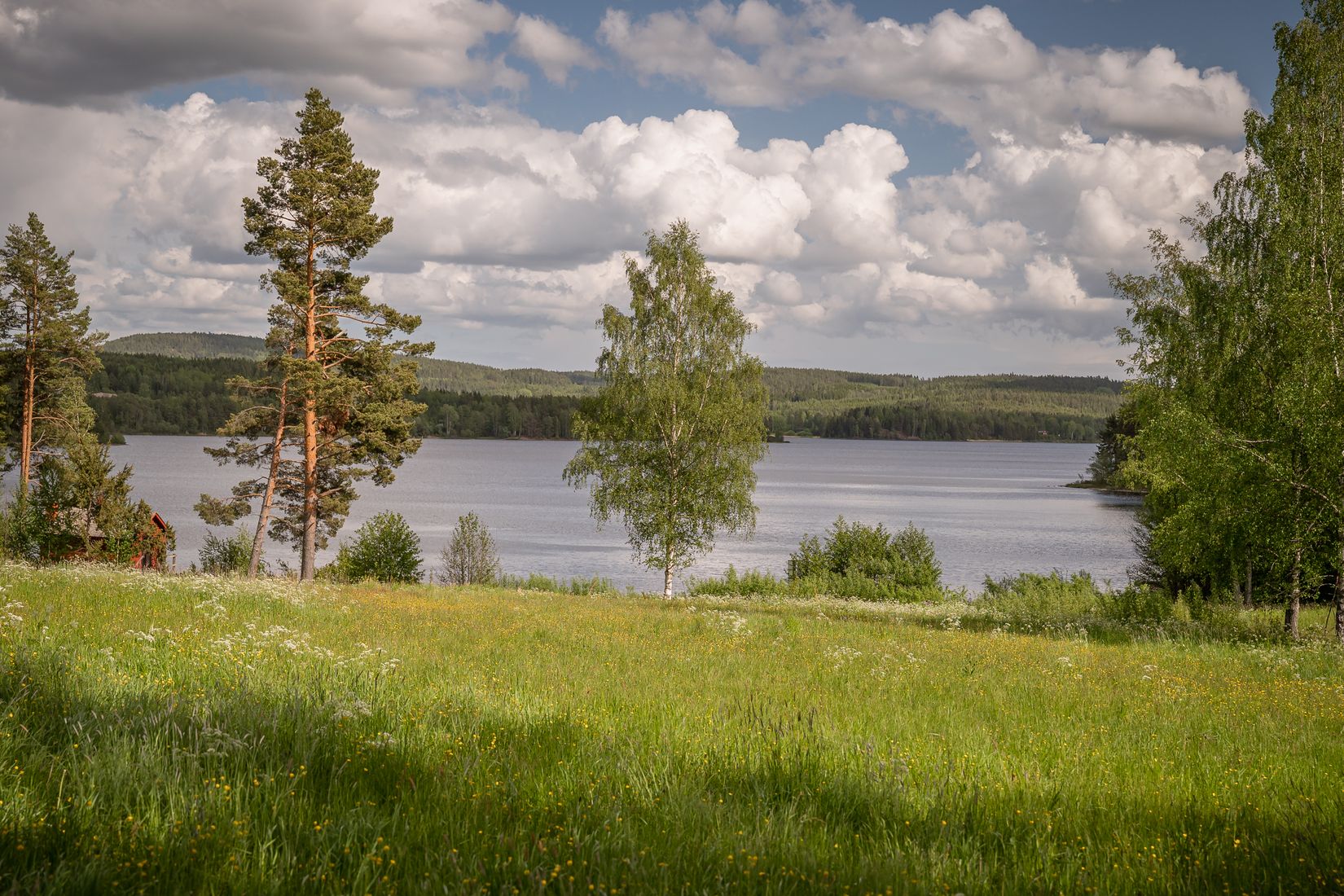 Gård/Skog, Mosteruds gård 1, Glava, Arvika