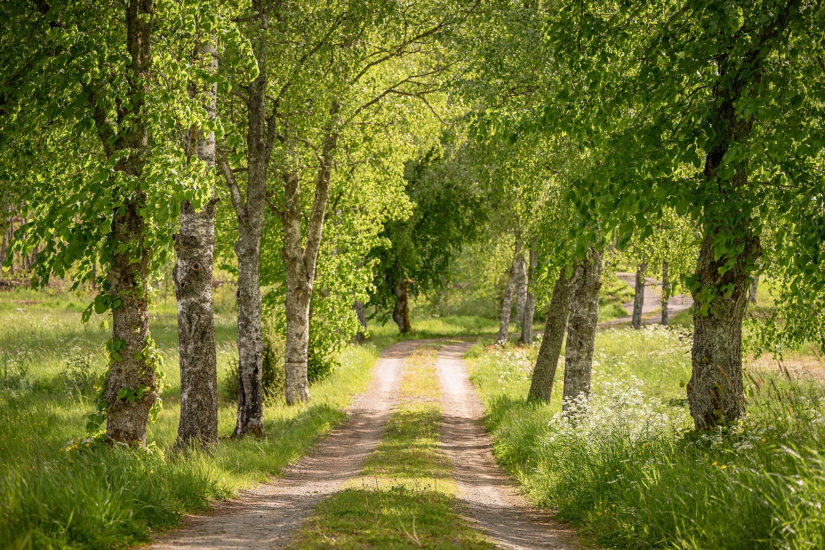 Gård/Skog, Mosteruds gård 1, Glava, Arvika