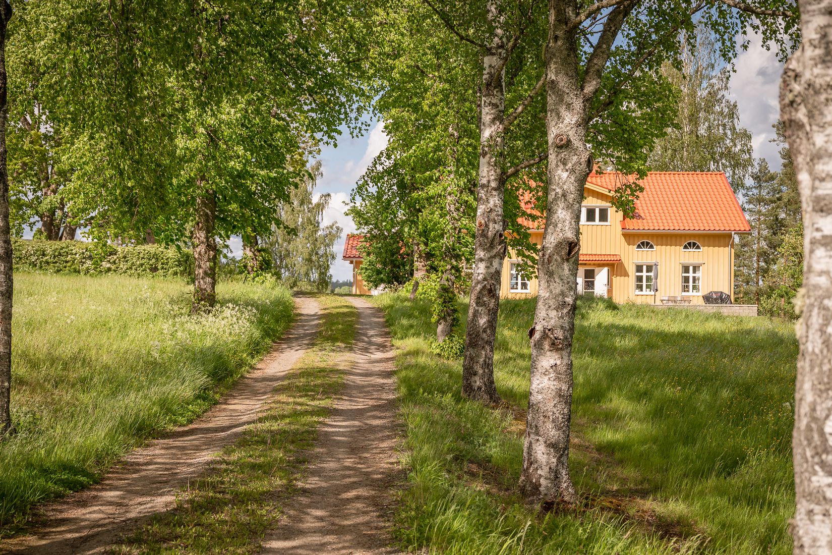 Gård/Skog, Mosteruds gård 1, Glava, Arvika