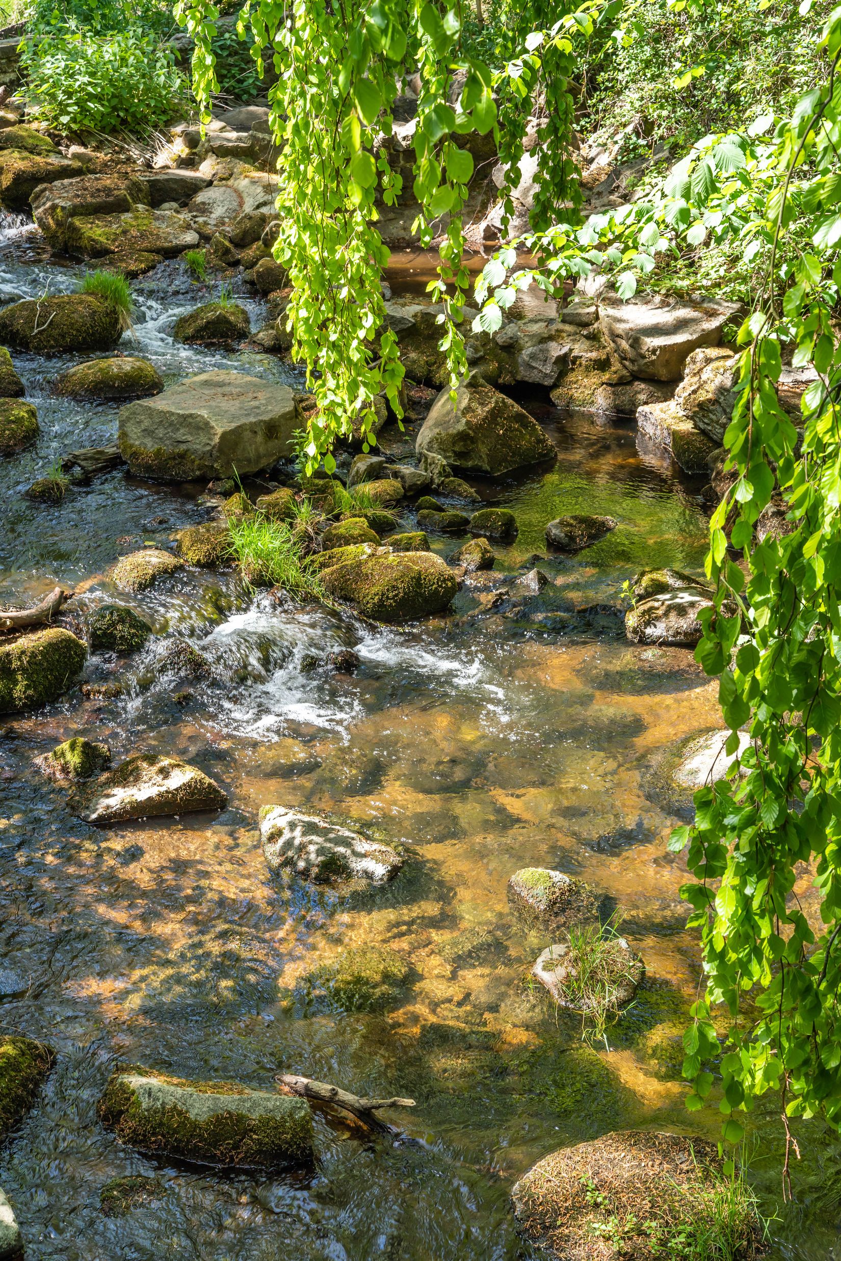 Gård/Skog, Södra Lyngbyvägen 11, Kristianstad