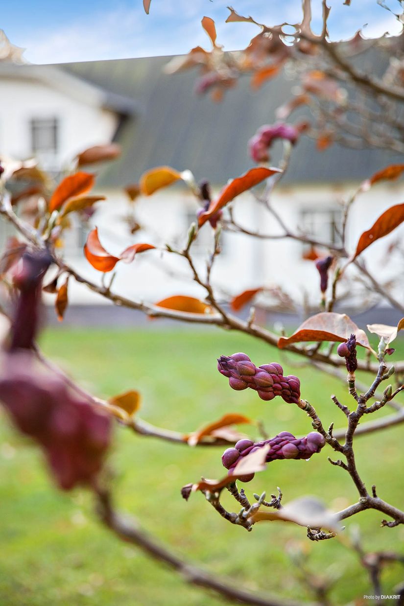 Gård/Skog, Södra Lyngbyvägen 11, Kristianstad