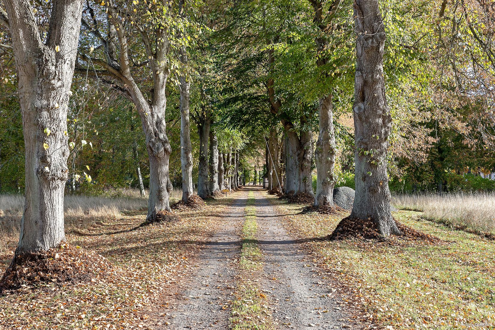Gård/Skog, Södra Lyngbyvägen 11, Kristianstad