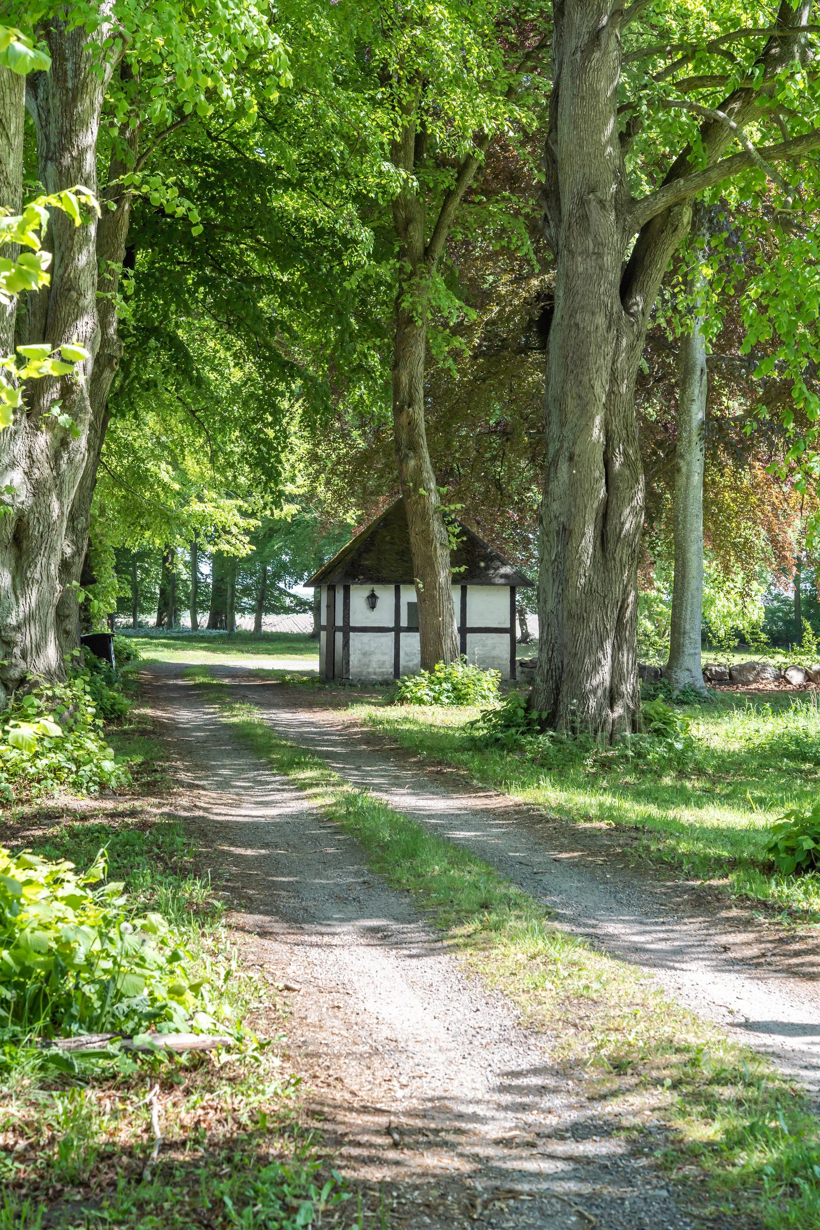 Gård/Skog, Södra Lyngbyvägen 11, Kristianstad