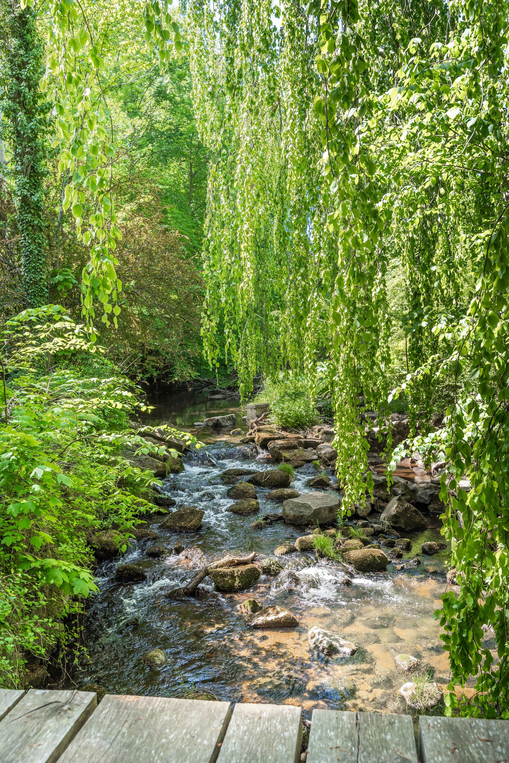 Gård/Skog, Södra Lyngbyvägen 11, Kristianstad