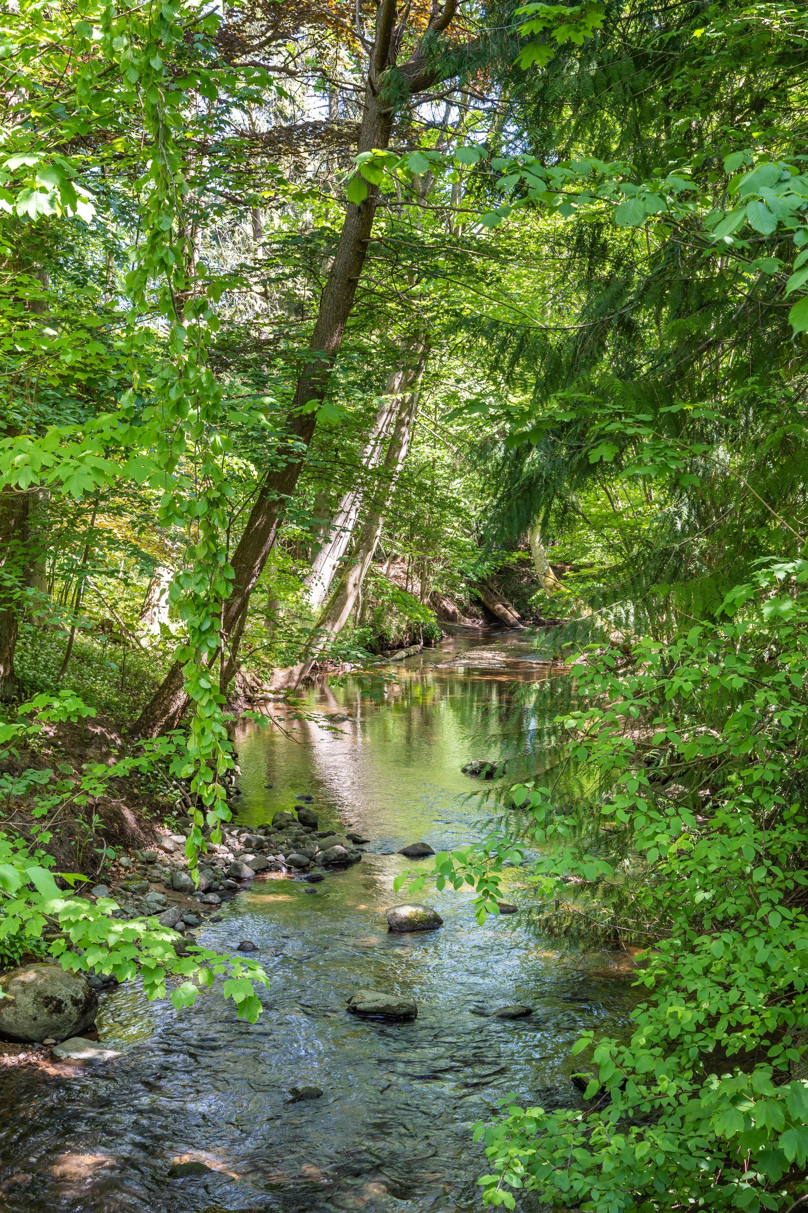 Gård/Skog, Södra Lyngbyvägen 11, Kristianstad