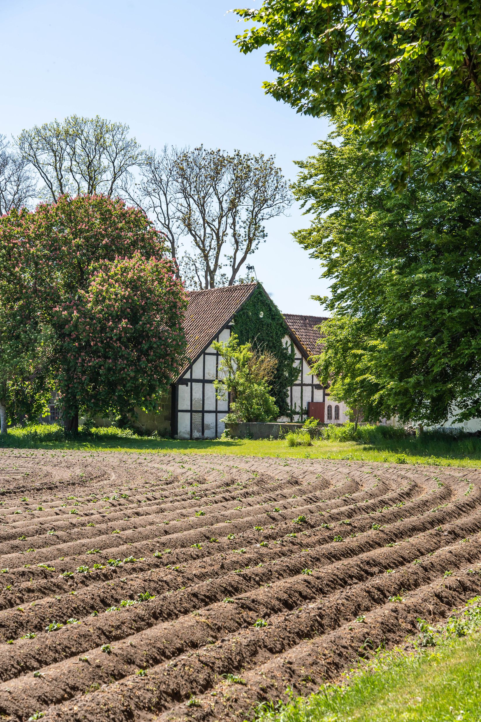 Gård/Skog, Södra Lyngbyvägen 11, Kristianstad
