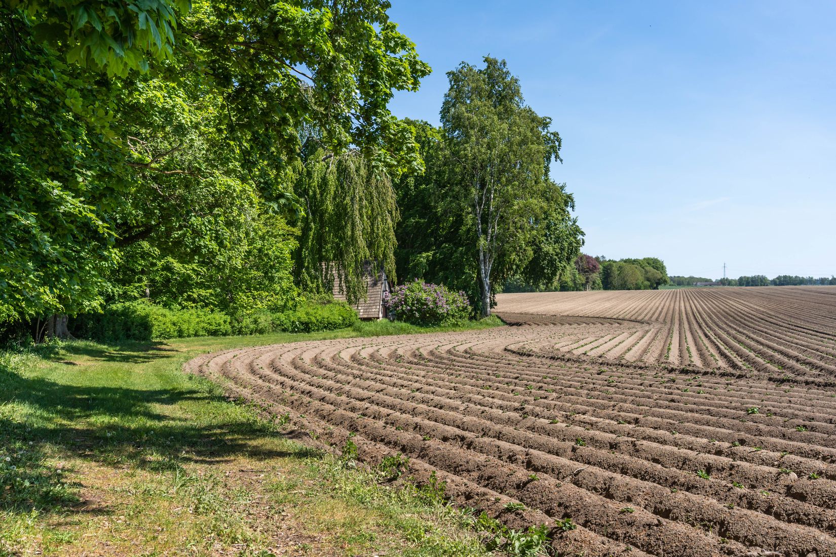 Gård/Skog, Södra Lyngbyvägen 11, Kristianstad