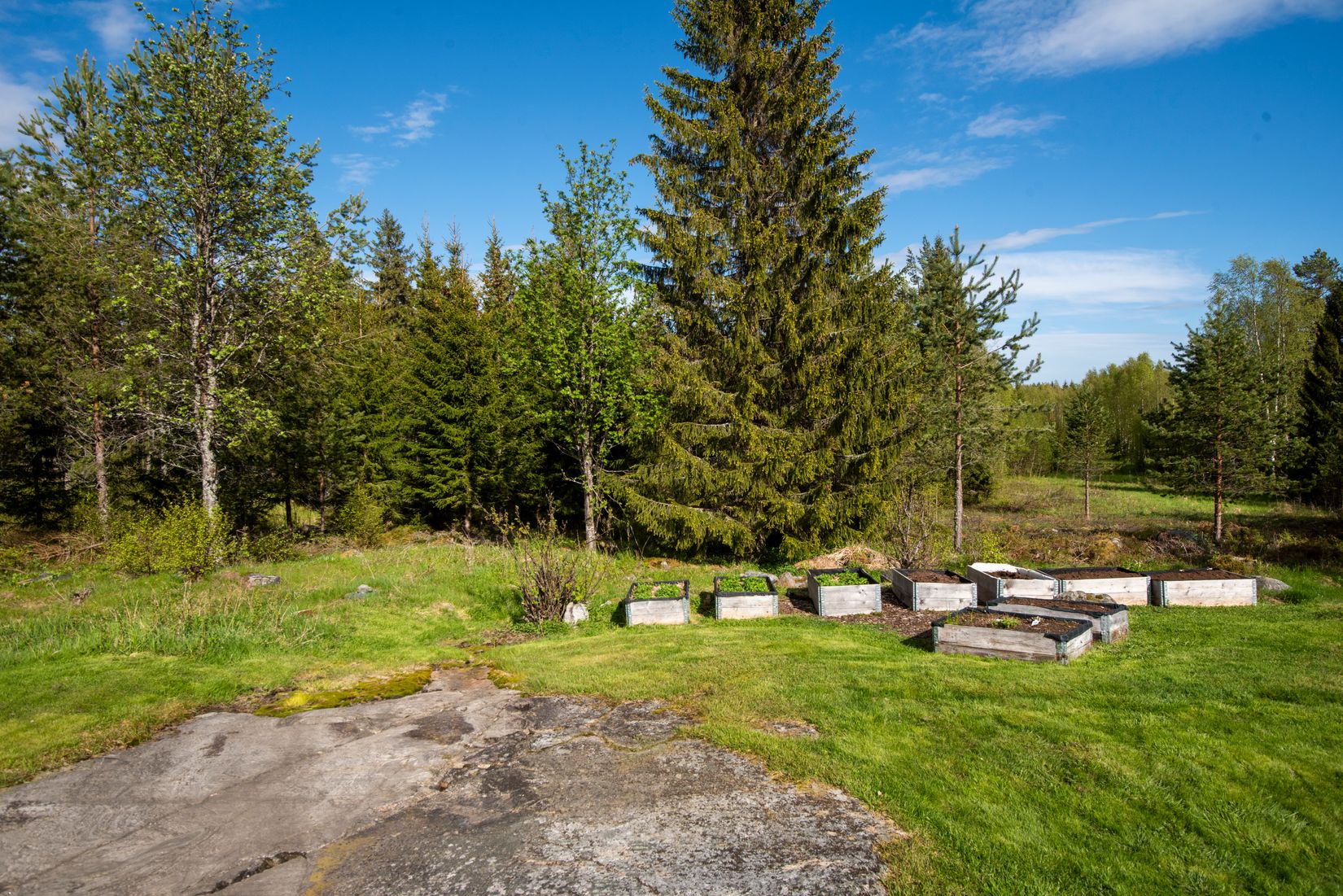 Gård/Skog, Gamla Rönnholm 61, Kronören/Långroudden/Storänget, Nordmaling