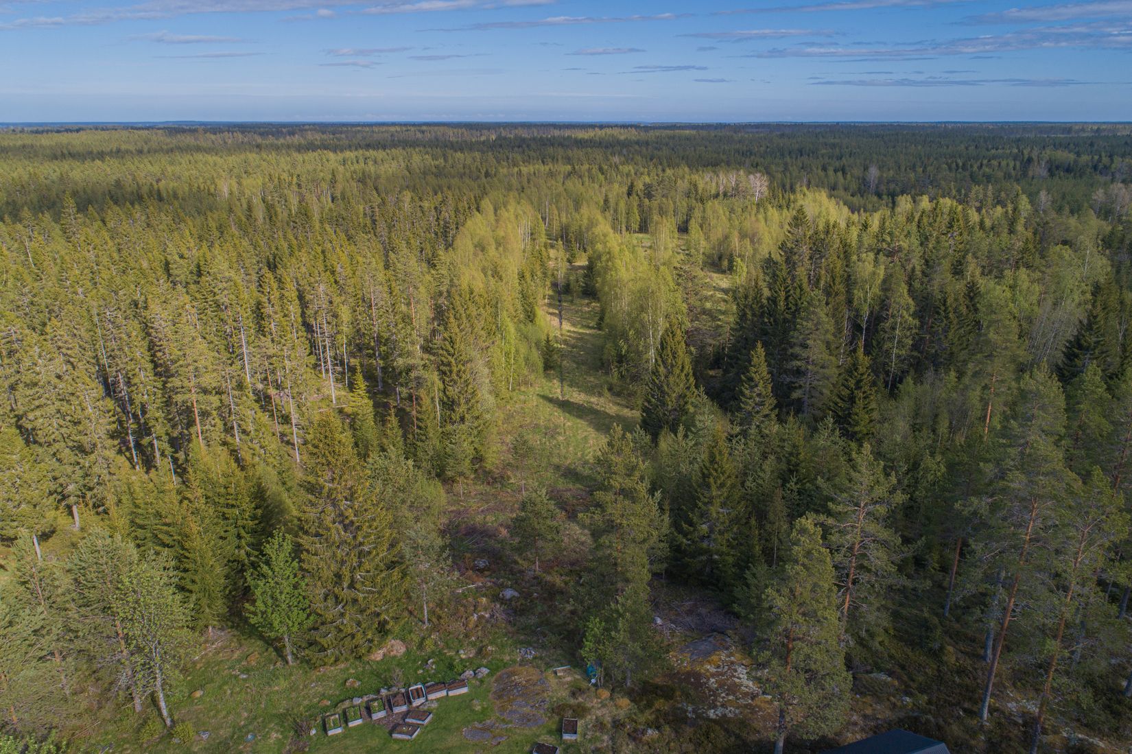 Gård/Skog, Gamla Rönnholm 61, Kronören/Långroudden/Storänget, Nordmaling