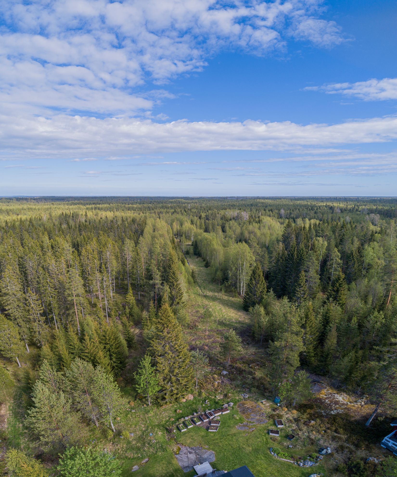 Gård/Skog, Gamla Rönnholm 61, Kronören/Långroudden/Storänget, Nordmaling