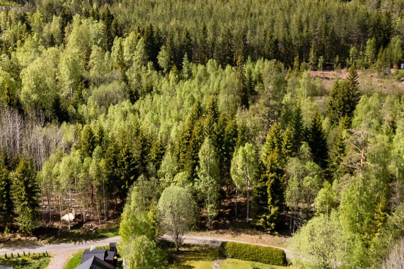 Tomt, Kårtäkts fäbodar 1:16, Sundborn, Falun