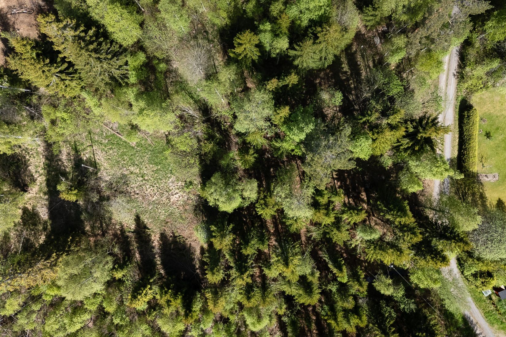 Tomt, Kårtäkts fäbodar 1:16, Sundborn, Falun