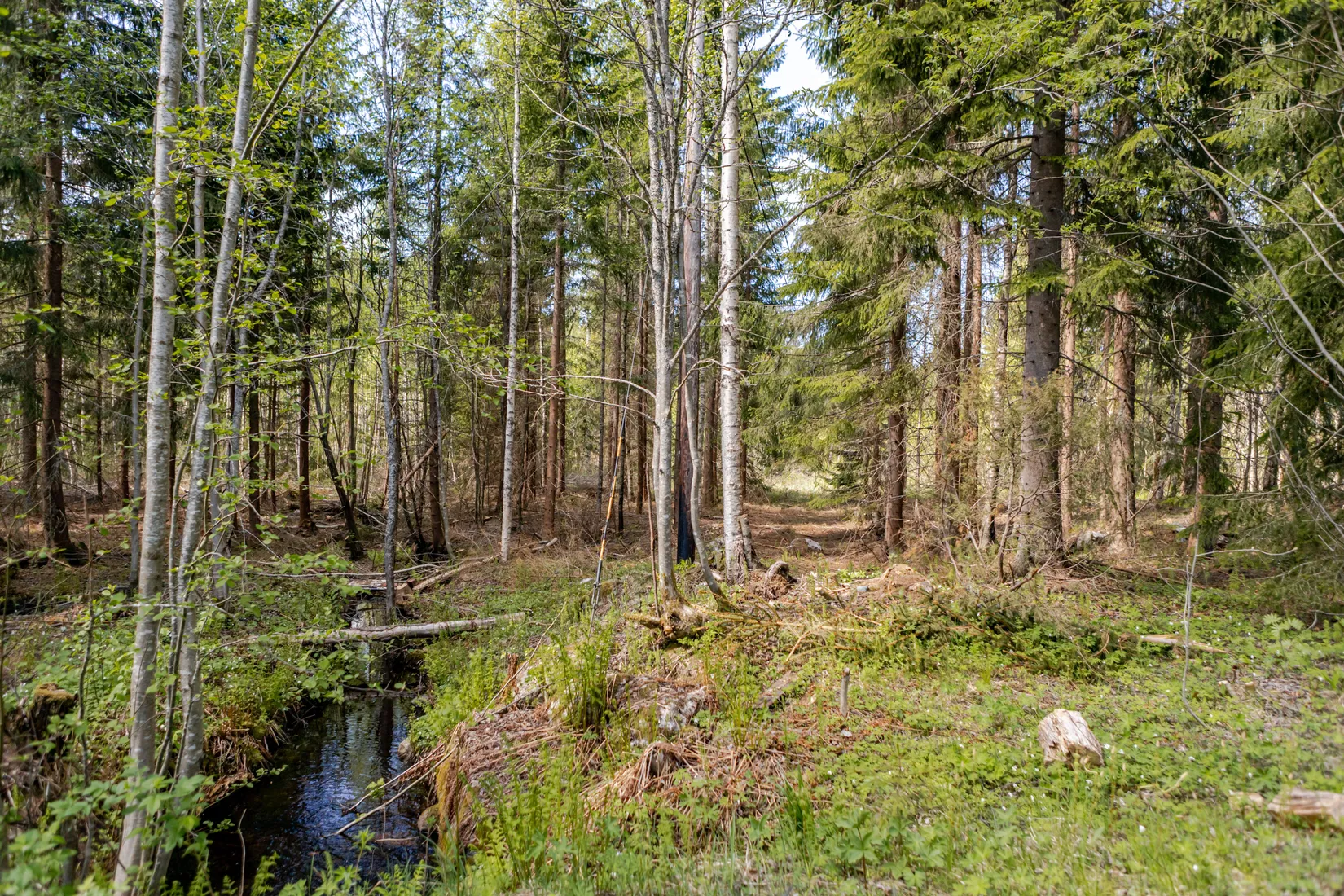 Tomt, Kårtäkts fäbodar 1:16, Sundborn, Falun