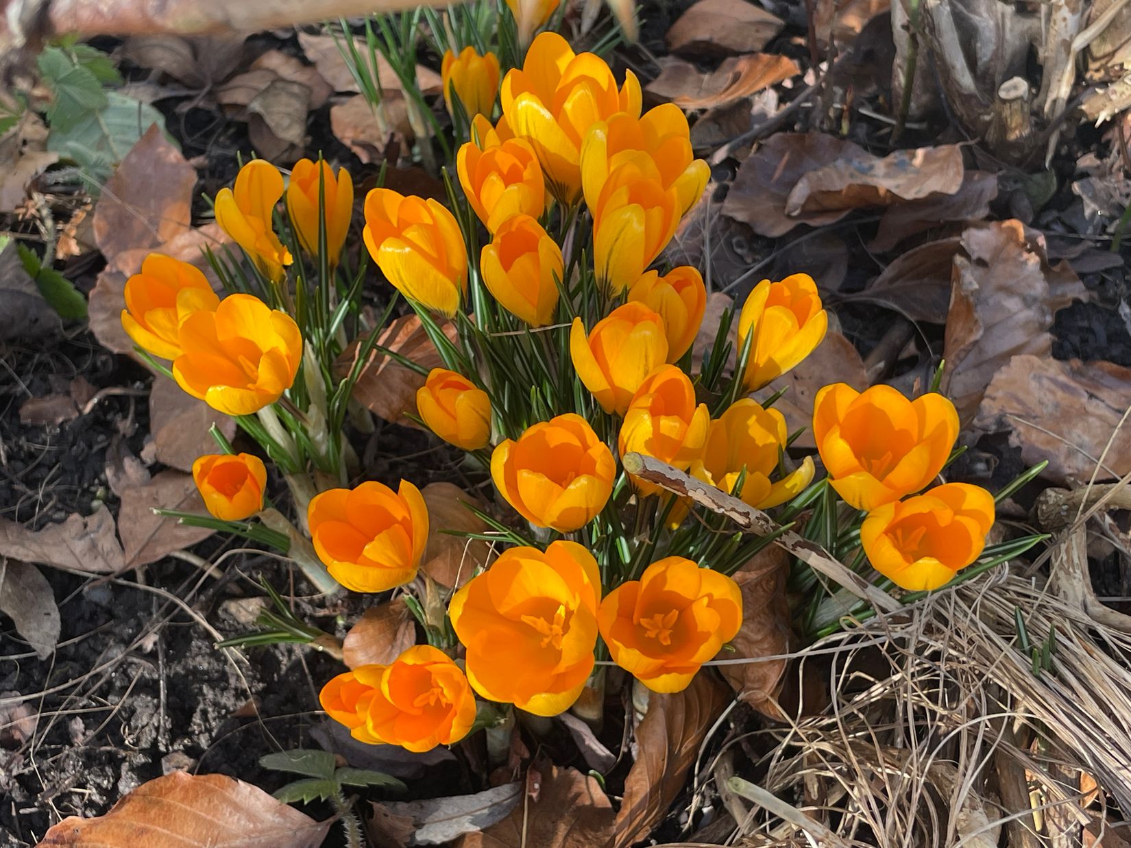 Villa, Trevägen 33-0, Äspö, Trelleborg