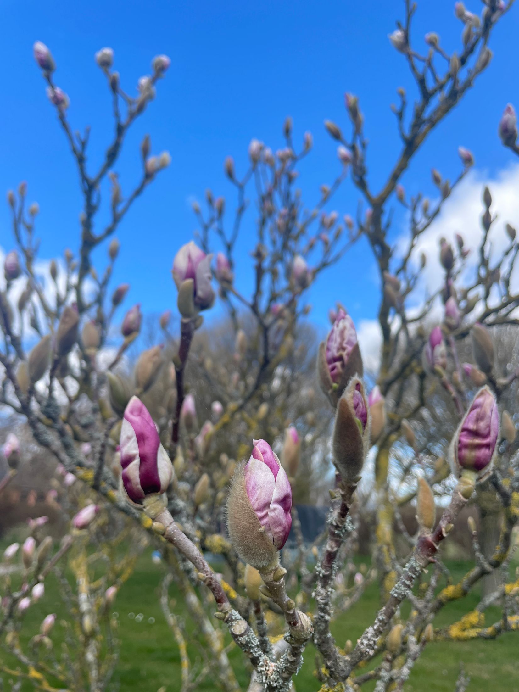 Villa, Trevägen 33-0, Äspö, Trelleborg