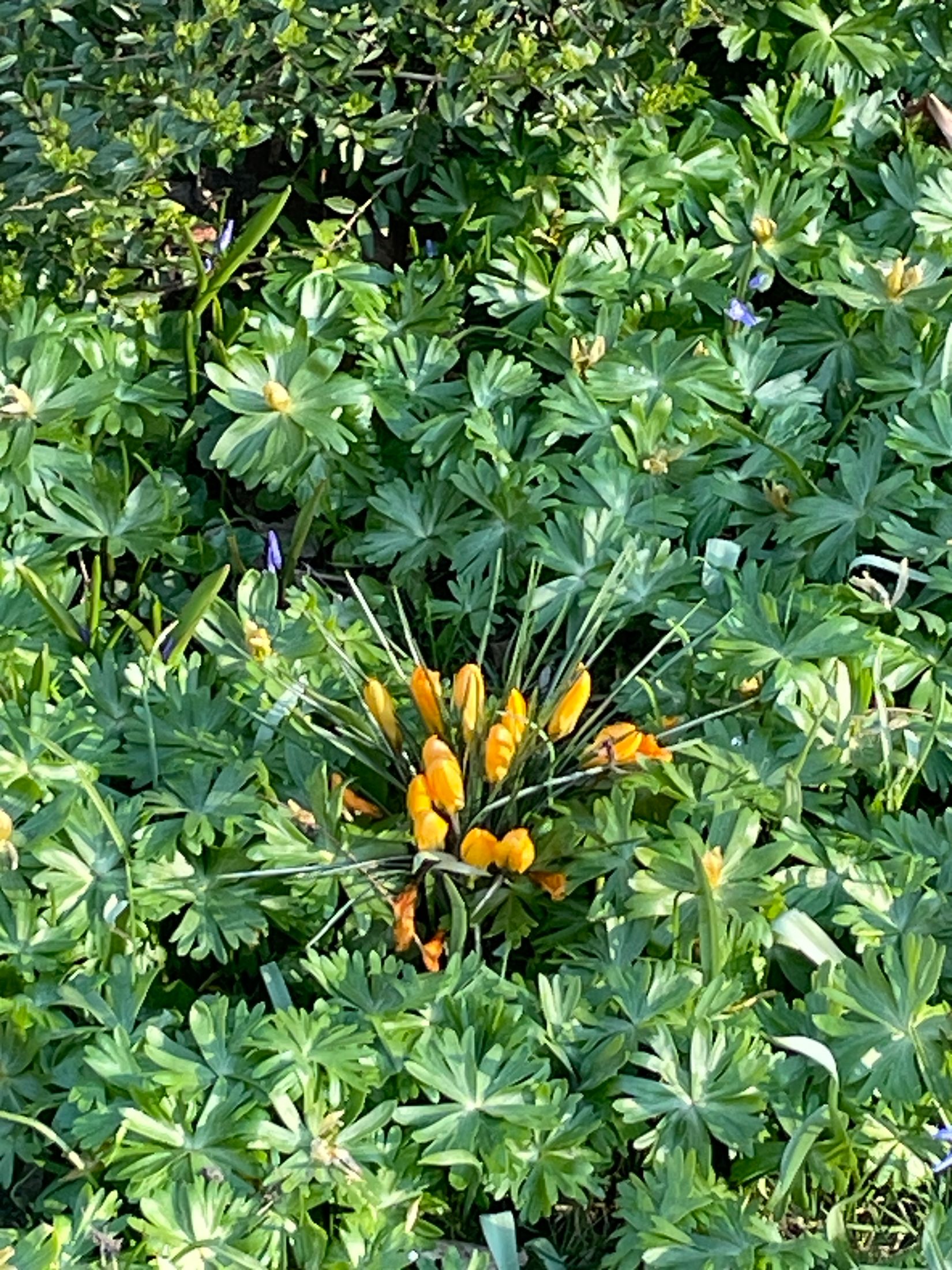 Villa, Trevägen 33-0, Äspö, Trelleborg