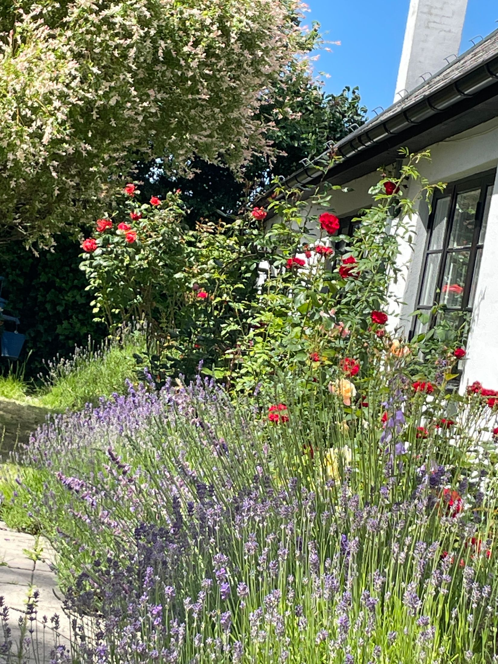 Villa, Trevägen 33-0, Äspö, Trelleborg