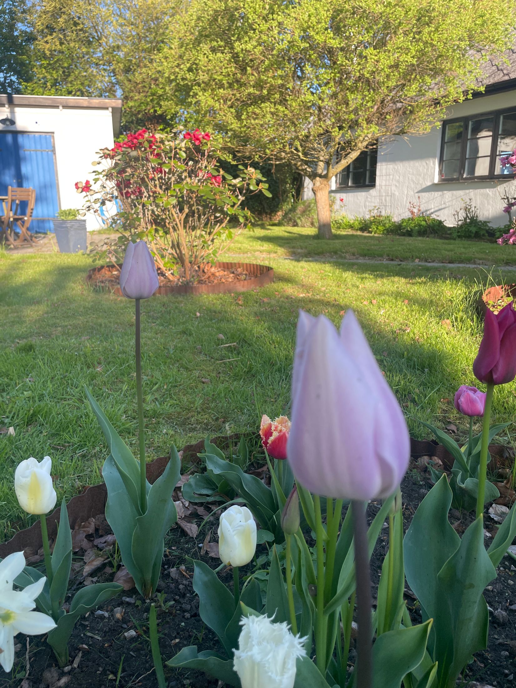 Villa, Trevägen 33-0, Äspö, Trelleborg