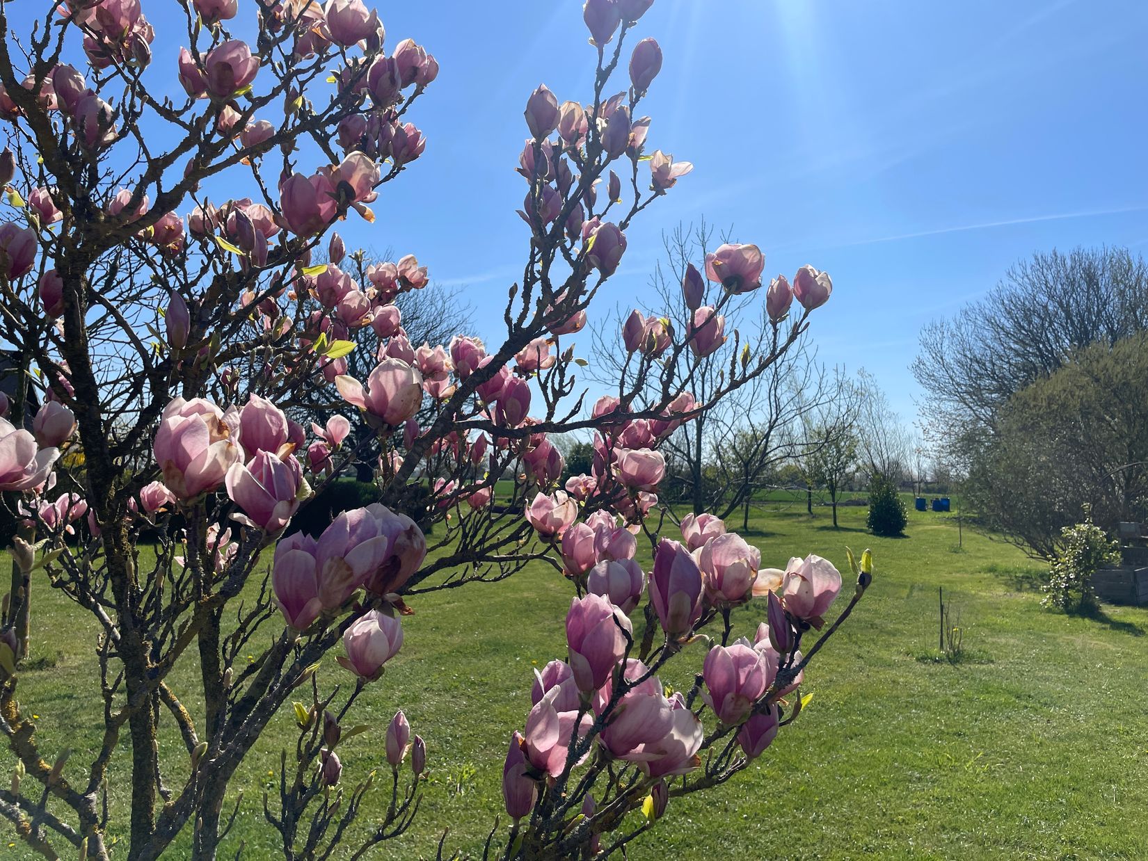 Villa, Trevägen 33-0, Äspö, Trelleborg