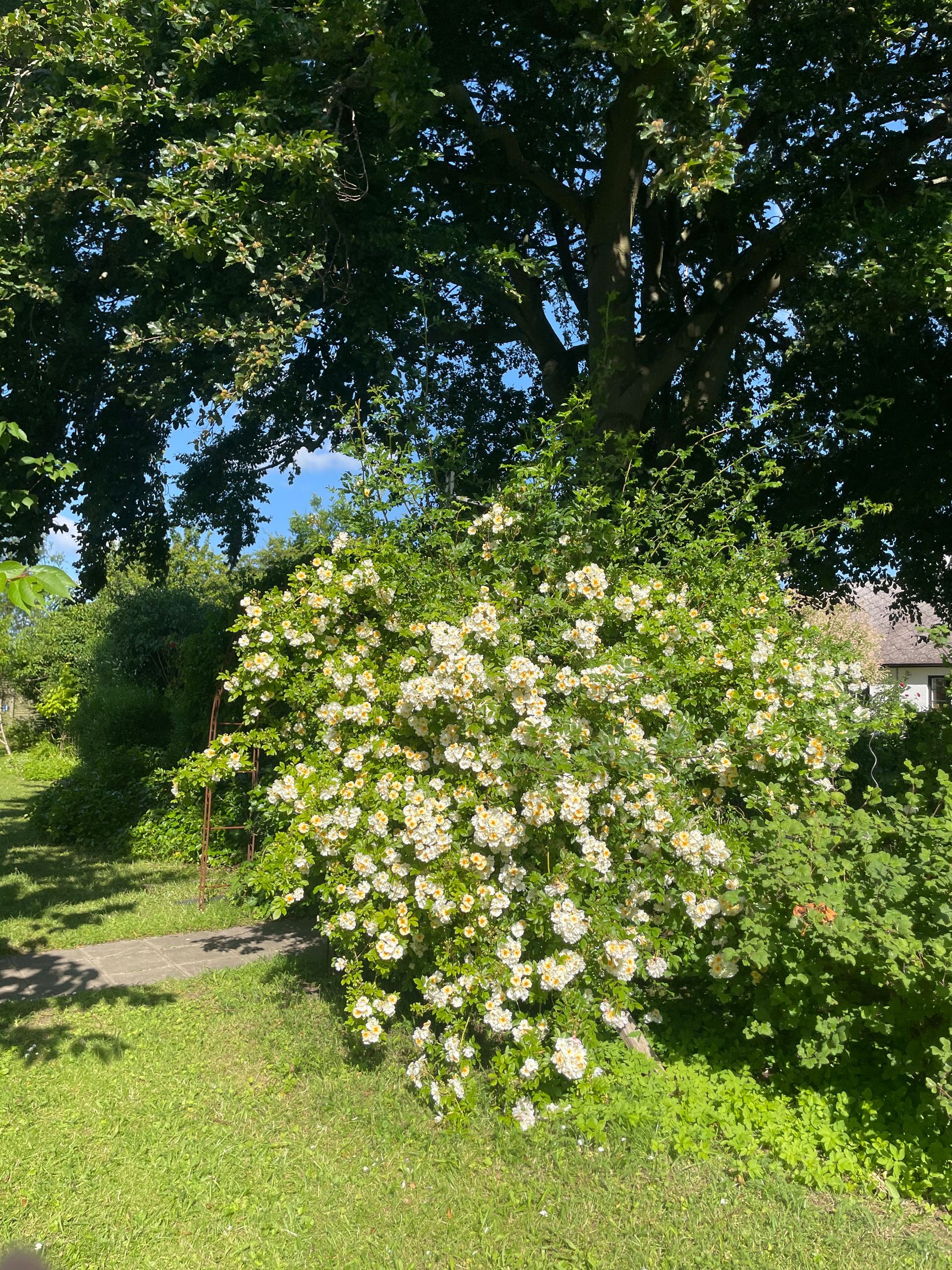 Villa, Trevägen 33-0, Äspö, Trelleborg