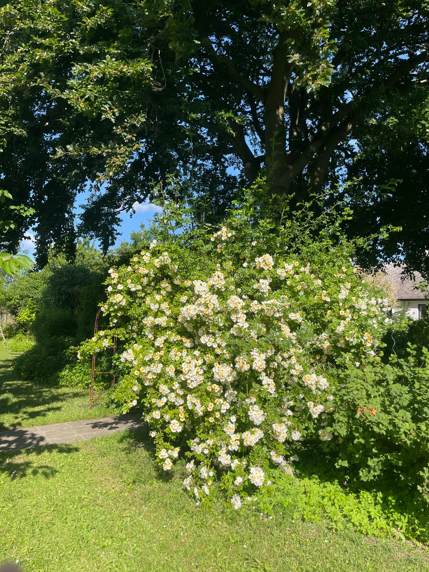 Villa, Trevägen 33-0, Äspö, Trelleborg